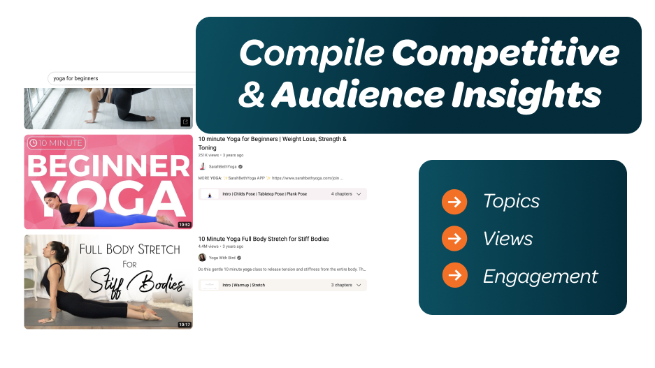 4- Competitive and Audience Insights B