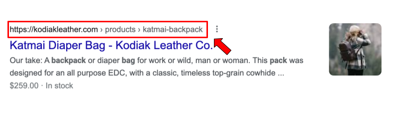 Kodiak Leather Google search result