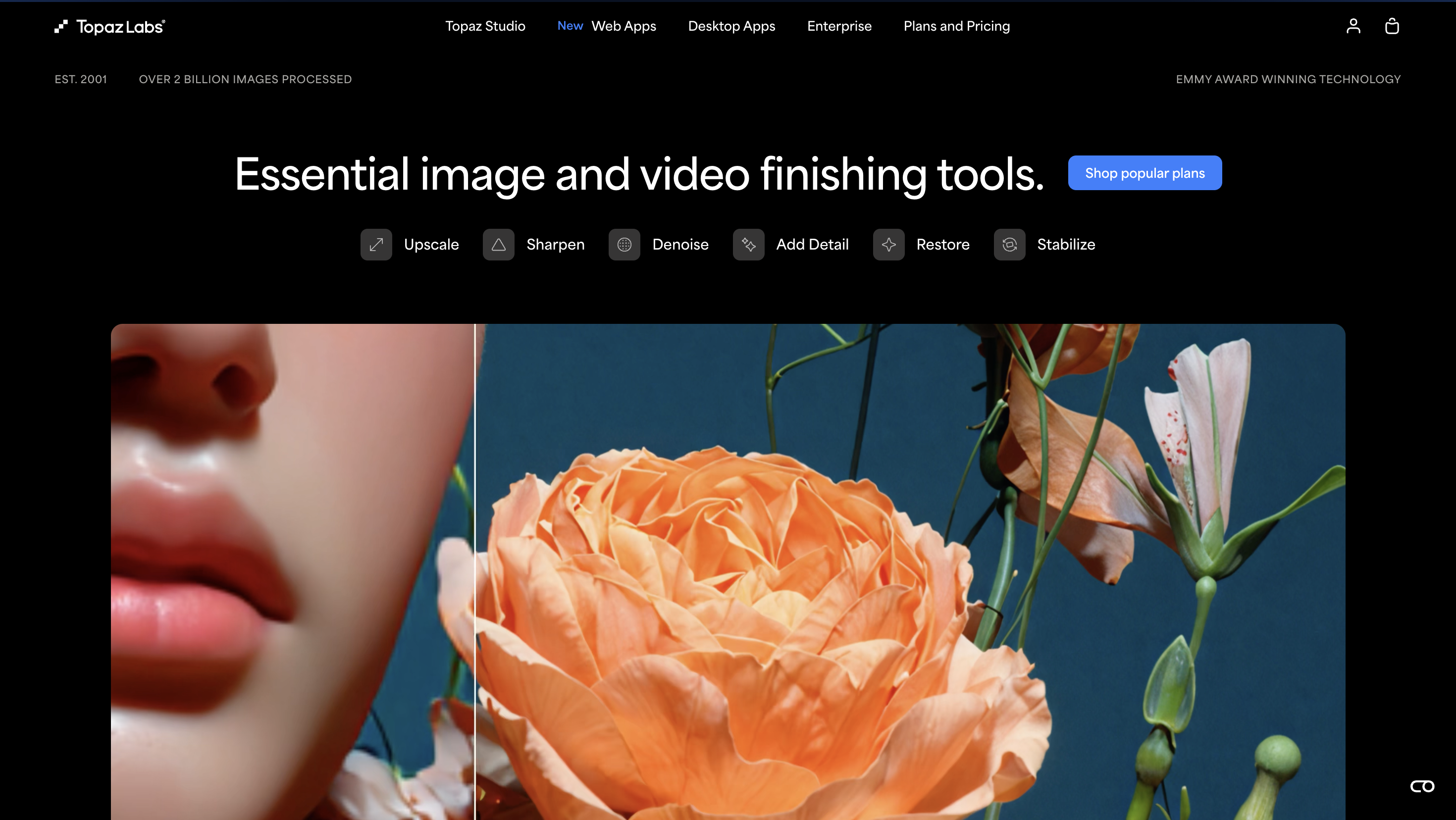 Best AI Tools for Content Creators: Topaz