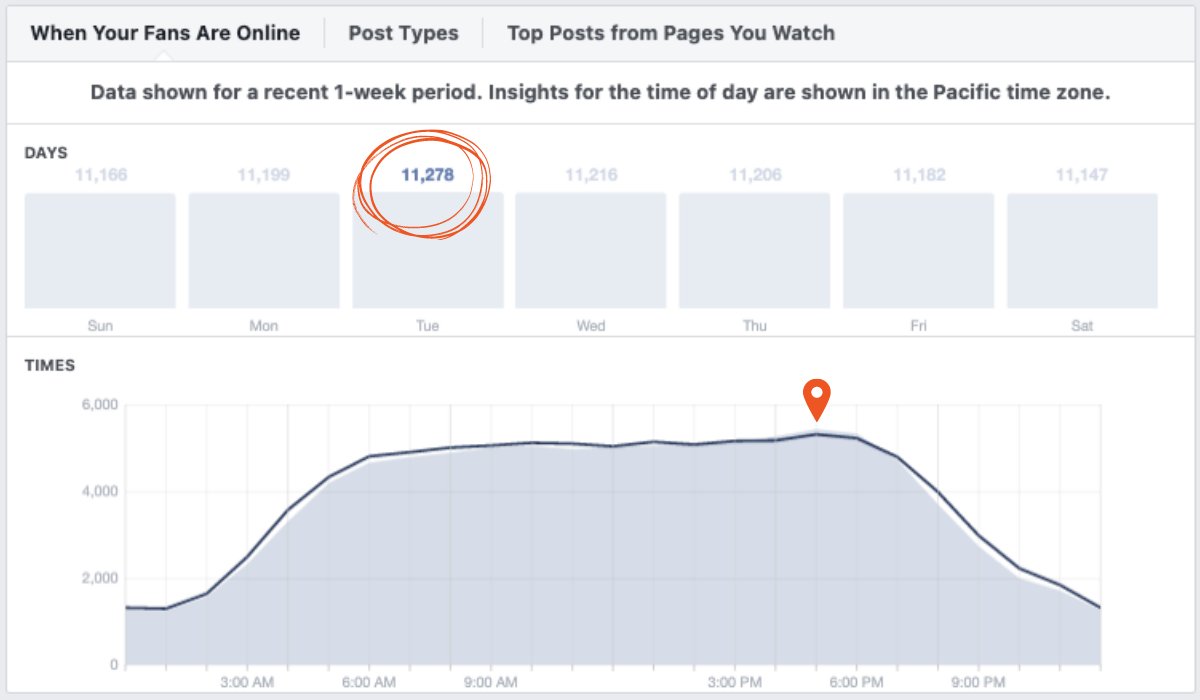 When to go live on Facebook based on your audience activity