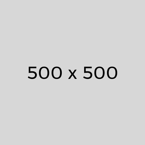 500 x 500